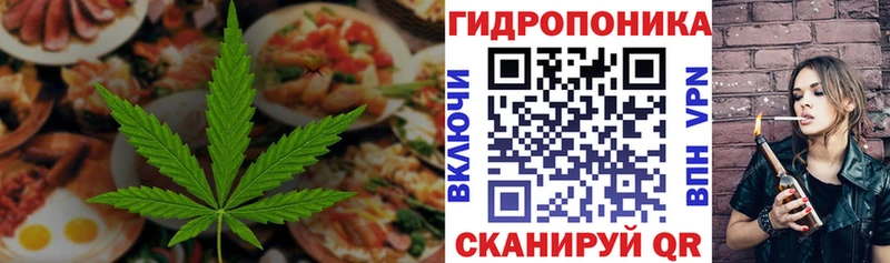 Купить закладки  Приволжск  Canna-Cookies конопля 