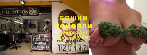 ГАЛЛЮЦИНОГЕННЫЕ ГРИБЫ Туринск