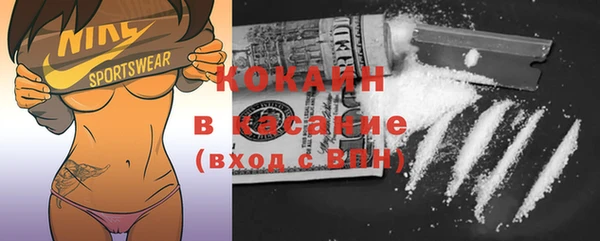 ГАЛЛЮЦИНОГЕННЫЕ ГРИБЫ Туринск