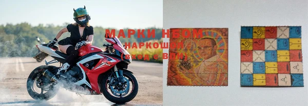 ГАЛЛЮЦИНОГЕННЫЕ ГРИБЫ Туринск