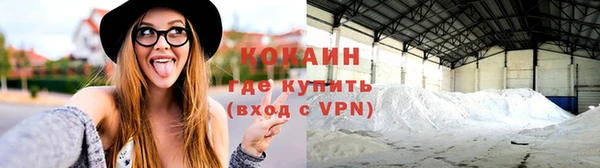 ГАЛЛЮЦИНОГЕННЫЕ ГРИБЫ Туринск