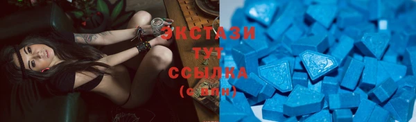 ГАЛЛЮЦИНОГЕННЫЕ ГРИБЫ Туринск