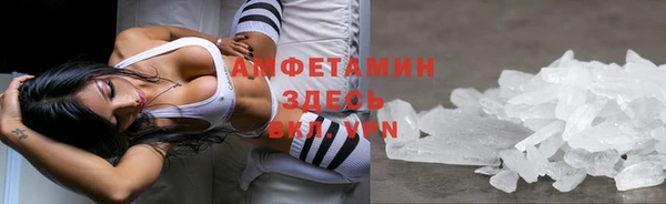 ГАЛЛЮЦИНОГЕННЫЕ ГРИБЫ Туринск