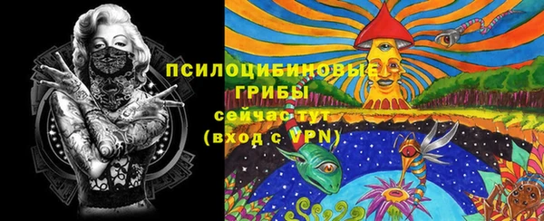 apvp Тында