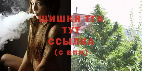 ГАЛЛЮЦИНОГЕННЫЕ ГРИБЫ Туринск