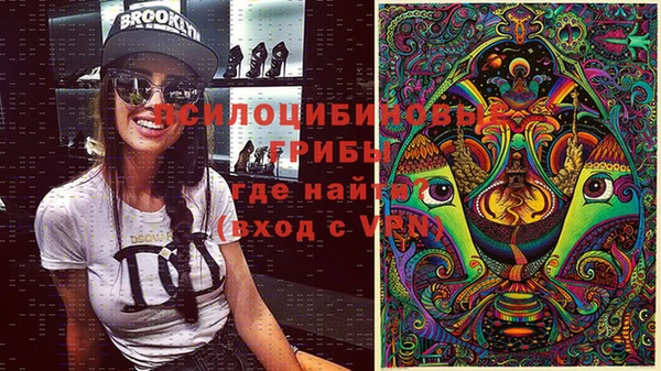 ГАЛЛЮЦИНОГЕННЫЕ ГРИБЫ Туринск