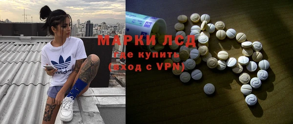ГАЛЛЮЦИНОГЕННЫЕ ГРИБЫ Туринск
