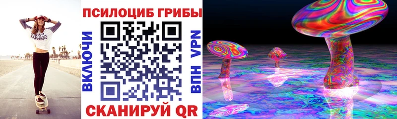 Купить где  Приволжск  Псилоцибиновые грибы мухоморы 